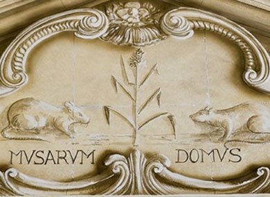 Bibliothèque-musée Inguimbertine