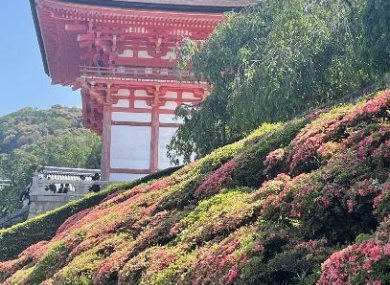 Circuit au Japon durant l’Exposition Universelle - mai-juin 2025