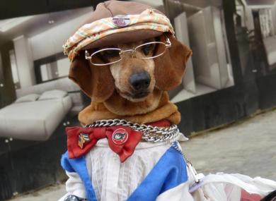 Cuba - 2016 - Un vrai cubain