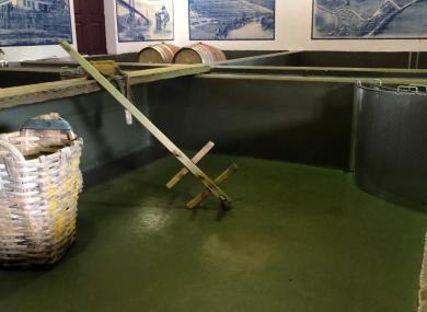 Quinta de Tuedo - Les cuves - 2024